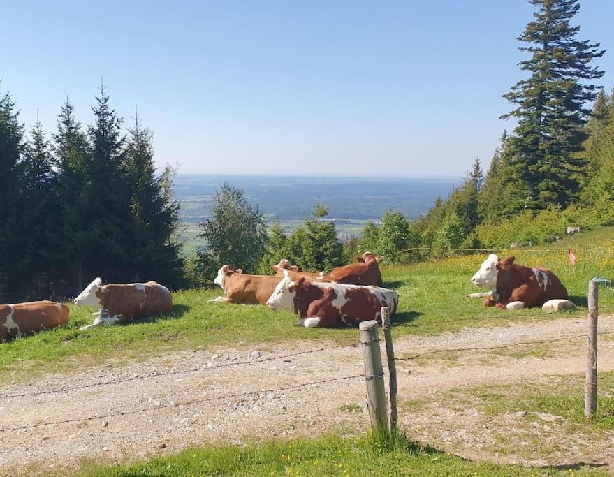 Romantisches Alpenchalet - Mit Sauna Und Kamin - Ruhig Und Zentral Bad Tölz Buitenkant foto